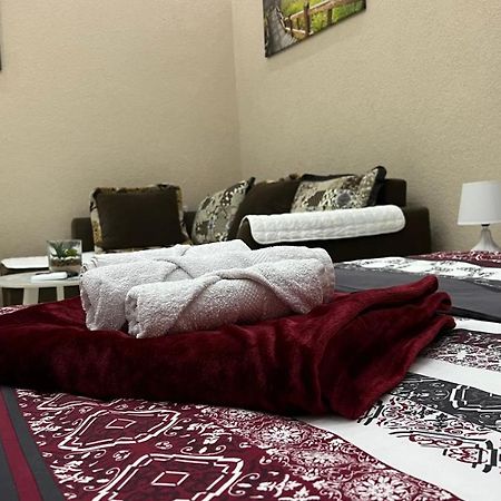 Apartment Downtown Podgorica Bagian luar foto