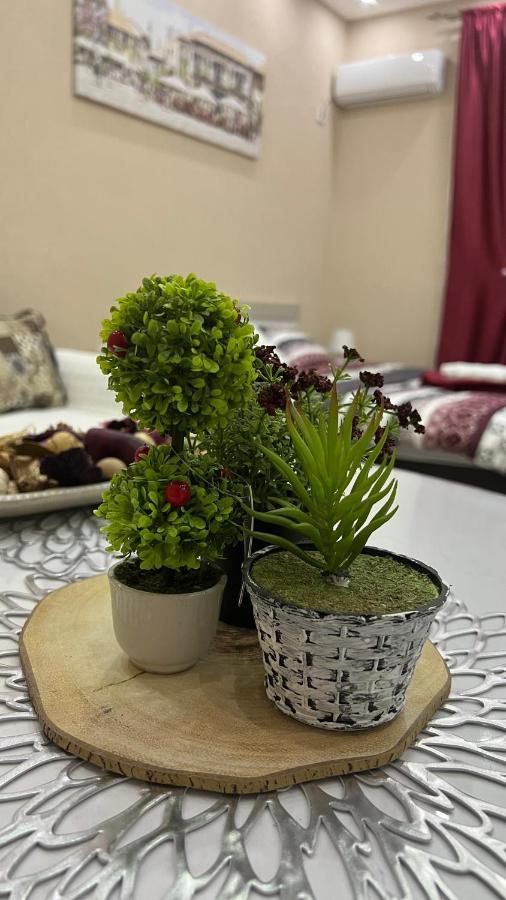 Apartment Downtown Podgorica Bagian luar foto