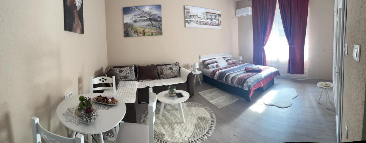 Apartment Downtown Podgorica Bagian luar foto