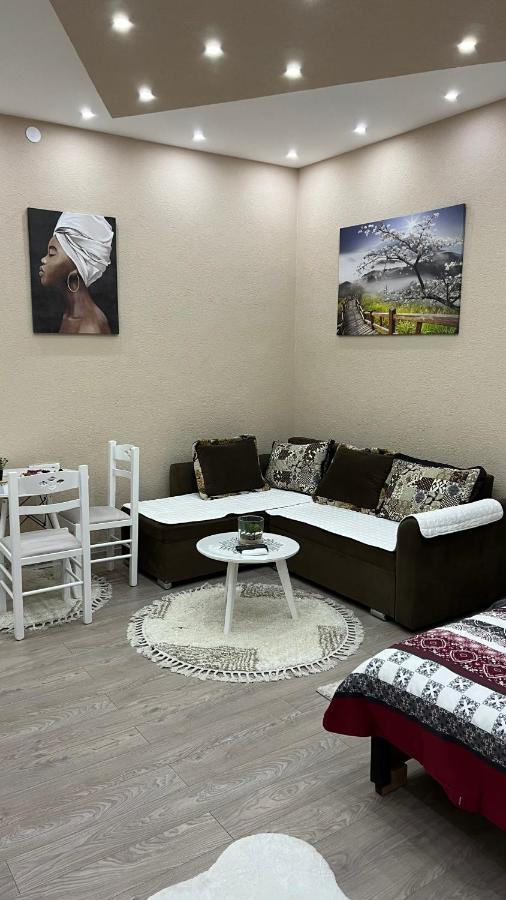 Apartment Downtown Podgorica Bagian luar foto